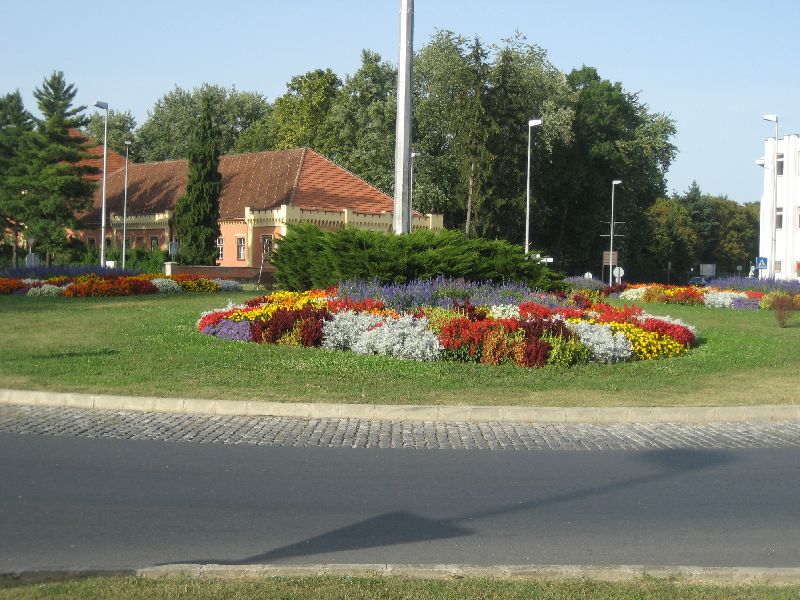 Čakovec: Blumenschmuck (2008)